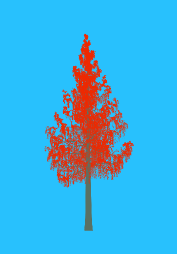 Treee