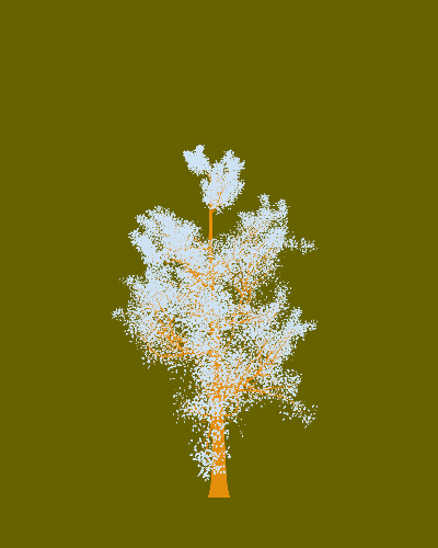 Treee