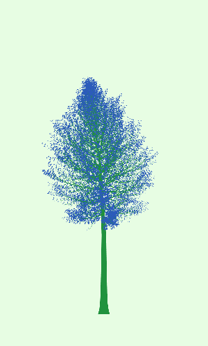 Treee
