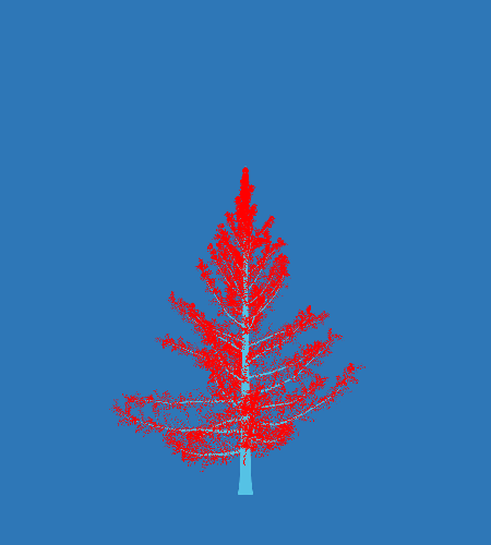 Treee