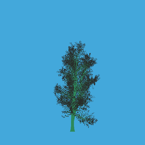 Treee