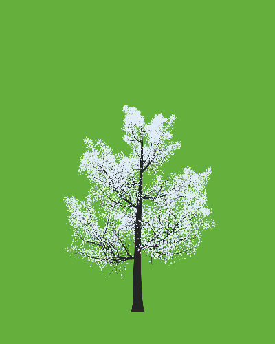 Treee