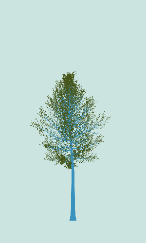Treee