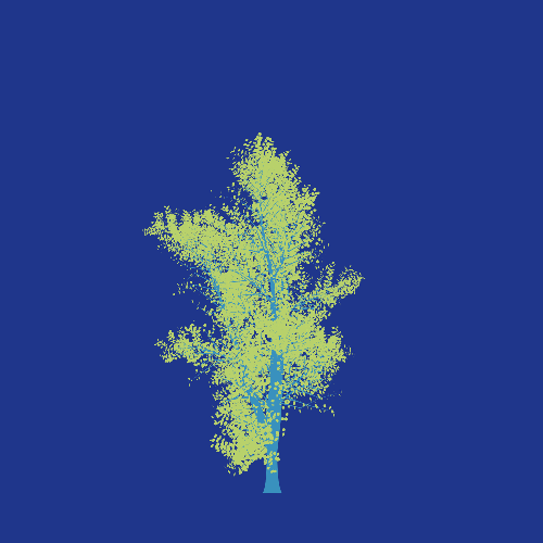 Treee