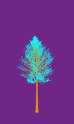 Treee