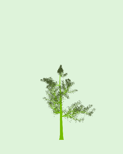 Treee