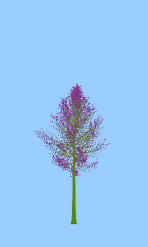Treee
