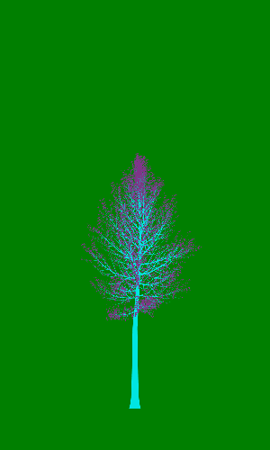 Treee