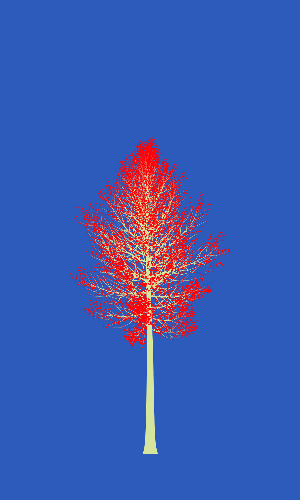 Treee