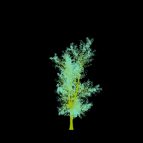 Treee