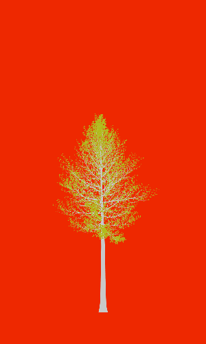 Treee