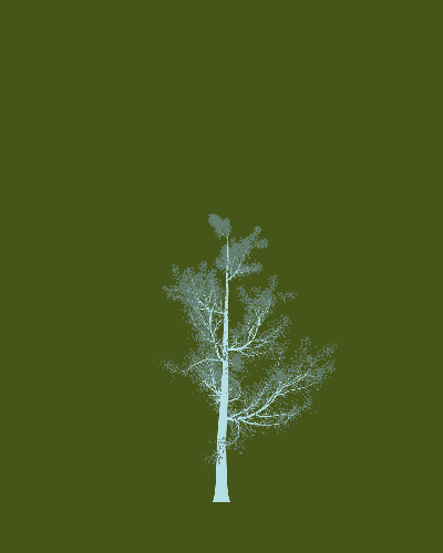 Treee