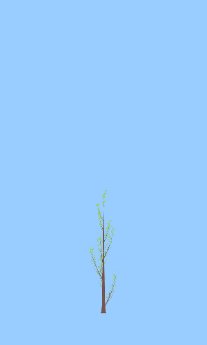 Treee