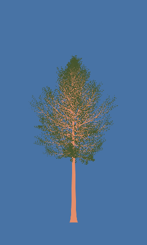 Treee