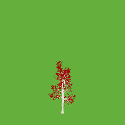 Treee