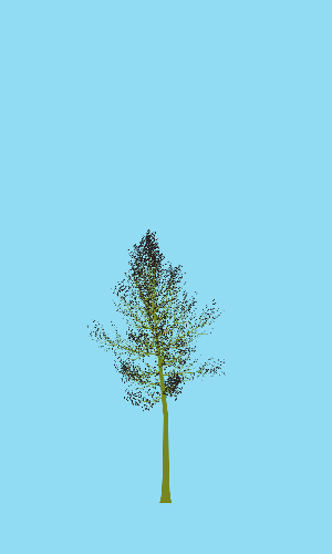 Treee