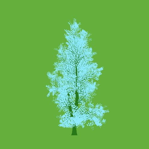 Treee