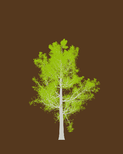 Treee