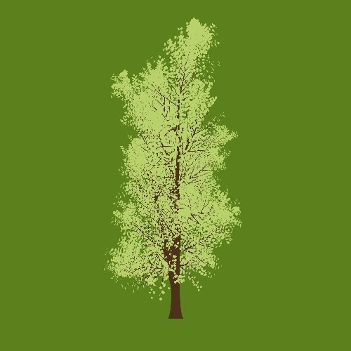 Treee