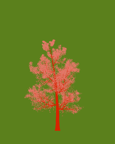 Treee