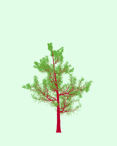 Treee
