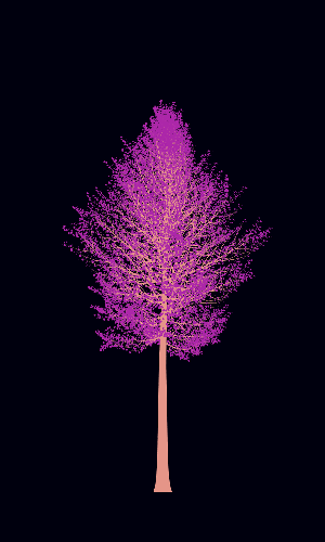 Treee