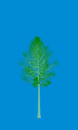 Treee