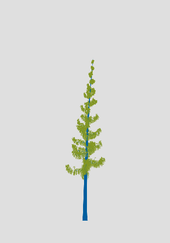 Treee