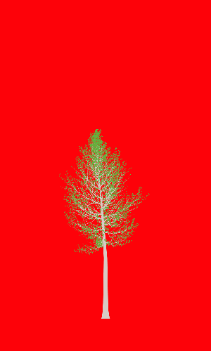 Treee