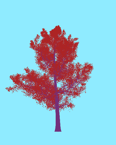 Treee