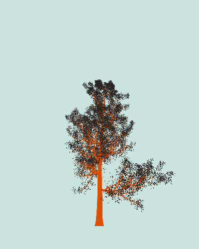 Treee