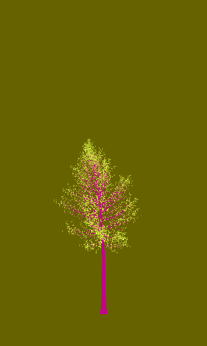 Treee