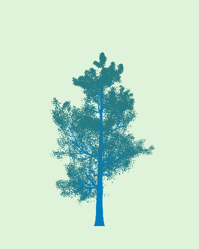 Treee