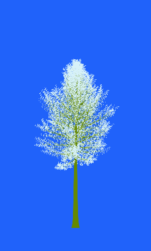 Treee