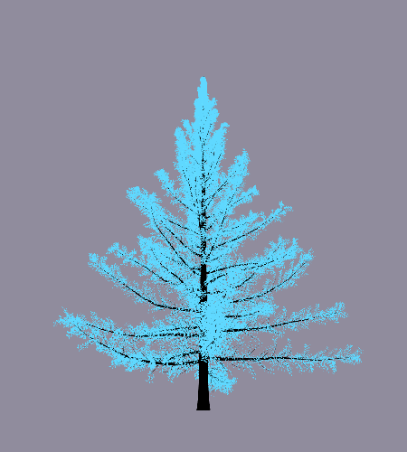 Treee