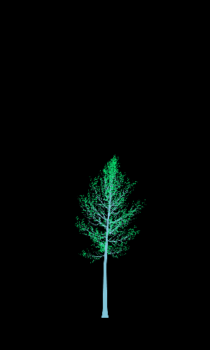Treee