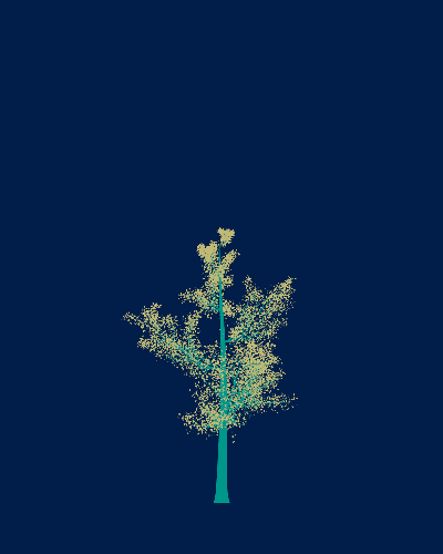Treee