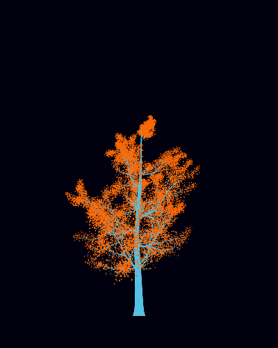 Treee