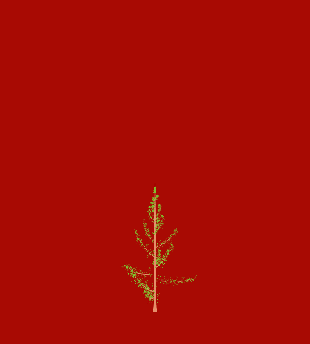 Treee