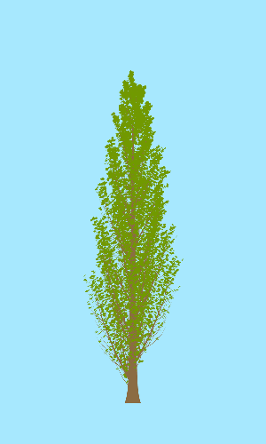 Treee