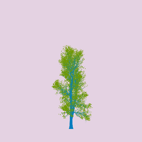 Treee