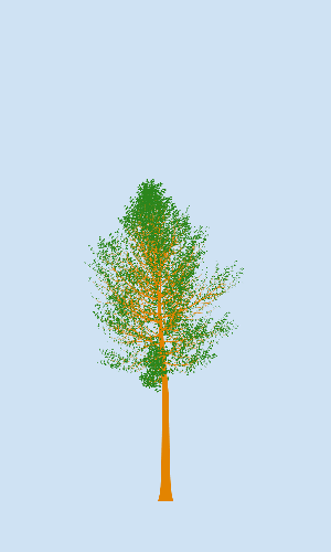 Treee