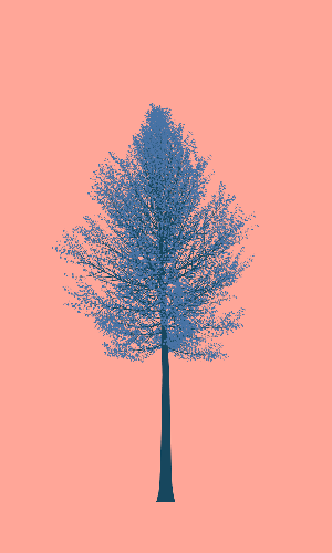Treee