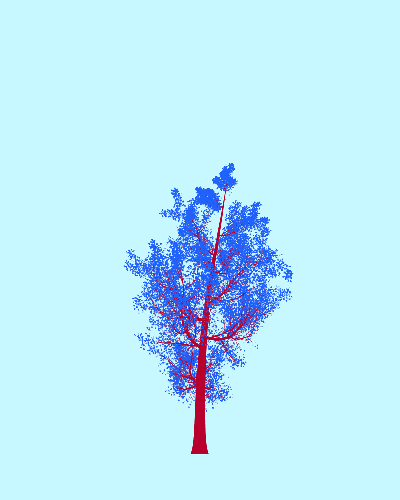 Treee