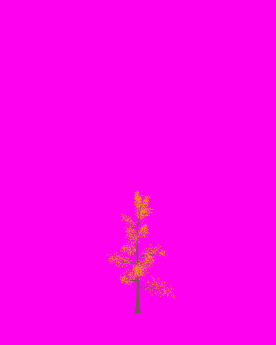 Treee