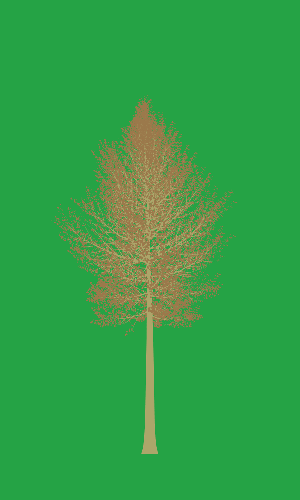 Treee