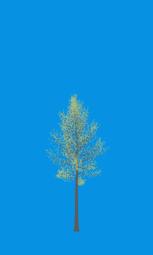 Treee