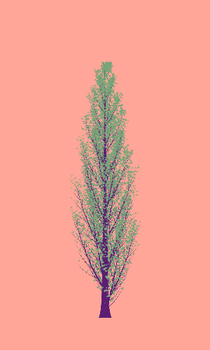 Treee