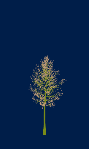 Treee