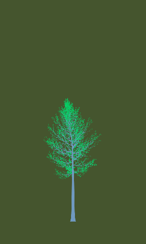 Treee